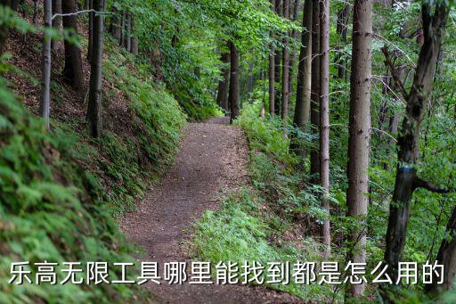 乐高无限工具哪里能找到都是怎么用的