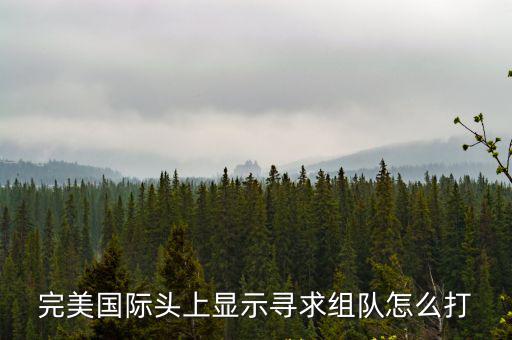 完美国际手游组队怎么玩，完美国际头上显示寻求组队怎么打