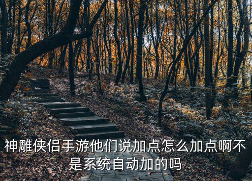 神雕侠侣手游打技能怎么加，手游神雕侠侣宝宝技能怎么释放我有群攻技能但每次都不能释放