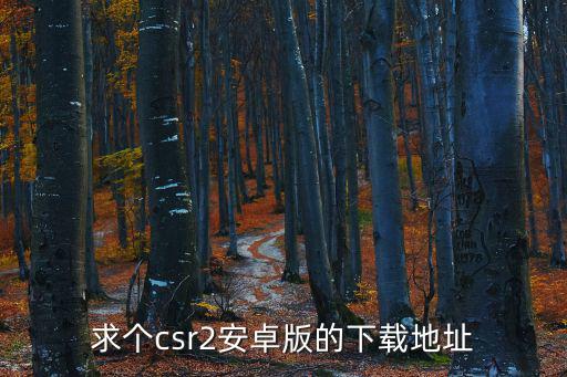 求个csr2安卓版的下载地址