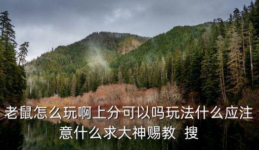 老鼠怎么玩啊上分可以吗玩法什么应注意什么求大神赐教 搜