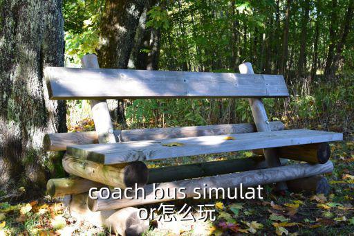 长途客车模拟器手游怎么玩教程，coach bus simulator怎么玩