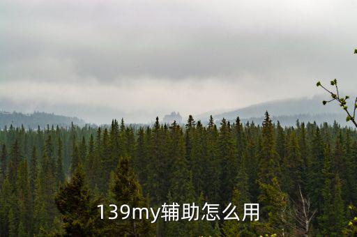 139my辅助怎么用