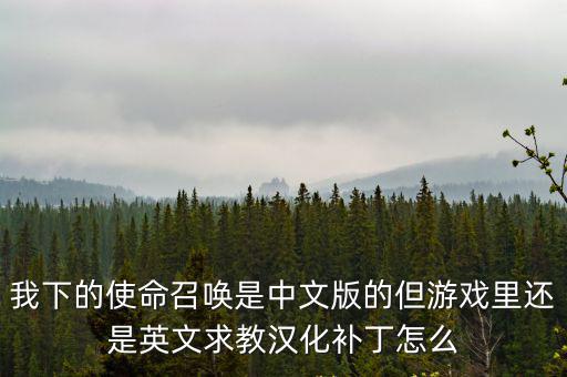 使命召唤手游排位怎么调中文，使命召唤10进去游戏怎么改成中文字幕