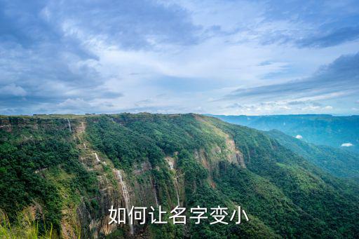 如何让名字变小