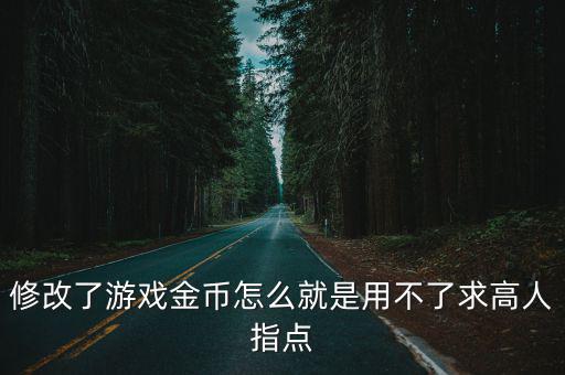 修改了游戏金币怎么就是用不了求高人指点