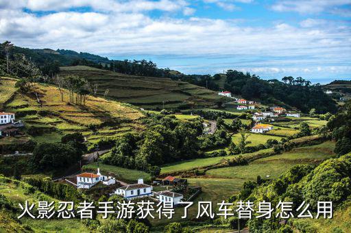 火影忍者手游获得了风车替身怎么用