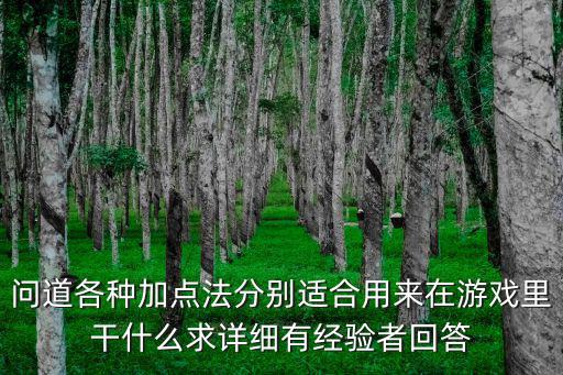 问道各种加点法分别适合用来在游戏里干什么求详细有经验者回答