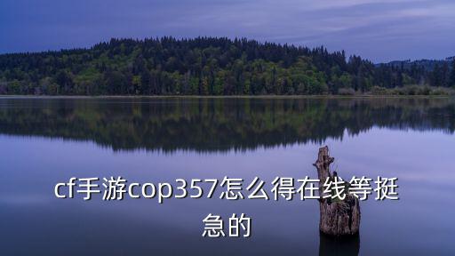 cf手游cop357怎么得在线等挺急的