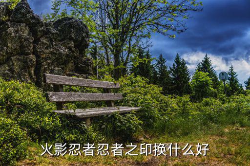火影忍者忍者之印换什么好