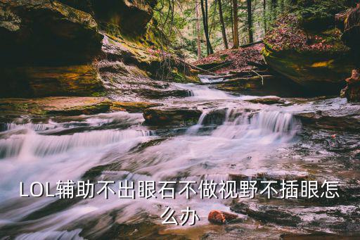 lol手游队友不插眼打龙怎么办，LOL辅助不出眼石不做视野不插眼怎么办