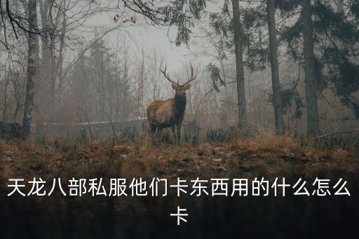 天龙八部私服他们卡东西用的什么怎么卡