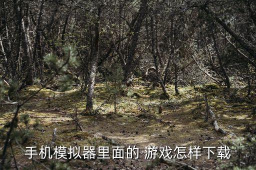 手机模拟器里面的 游戏怎样下载
