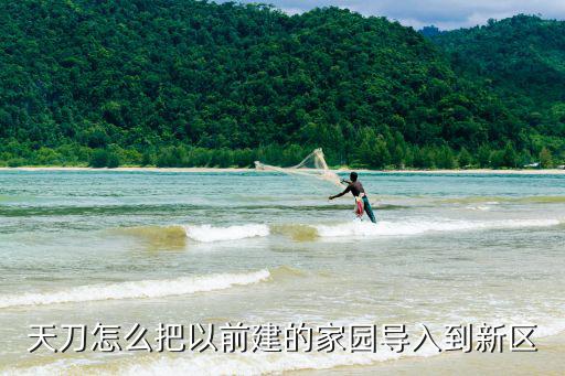 天刀手游家园导入模板怎么应用，谁能告诉我家园里的添加应用跑哪啦 先谢谢喽