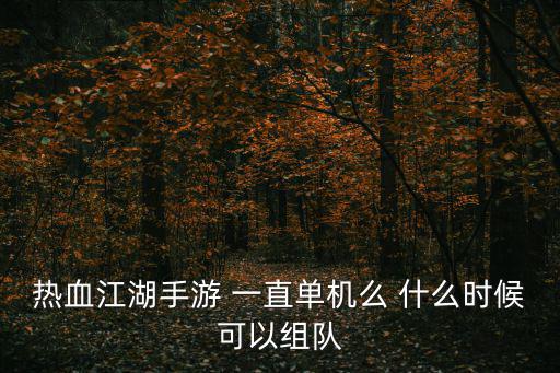 热血江湖手游 一直单机么 什么时候可以组队