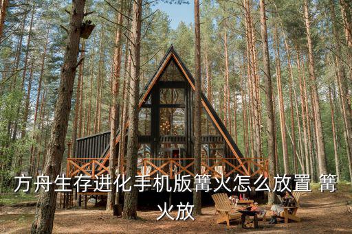 方舟生存进化怎么放置篝火手游，方舟生存进化营火怎么放不到地上
