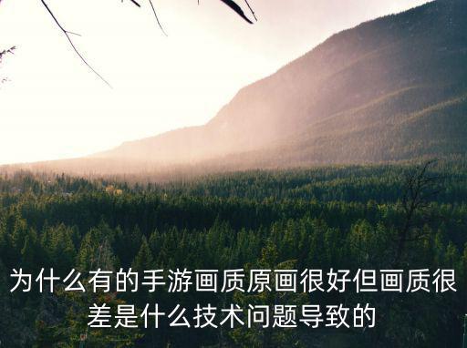 为什么有的手游画质原画很好但画质很差是什么技术问题导致的
