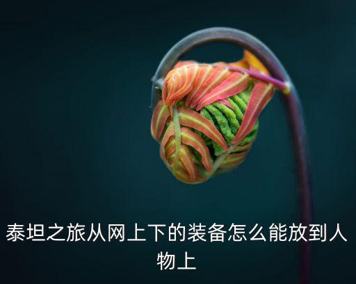 泰坦之旅从网上下的装备怎么能放到人物上