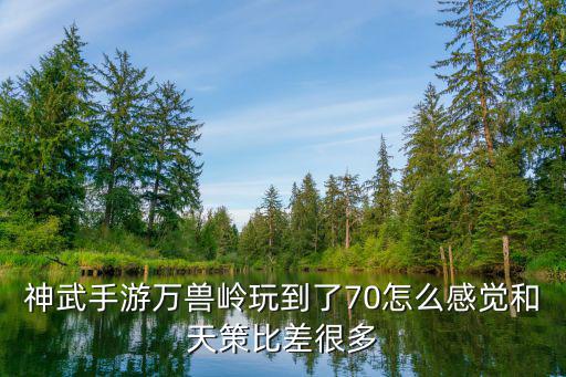 神武4手游5个万兽怎么样，神武手游万兽岭玩到了70怎么感觉和天策比差很多