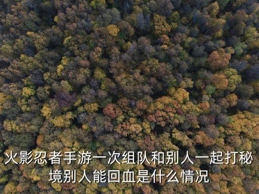 火影忍者手游一次组队和别人一起打秘境别人能回血是什么情况