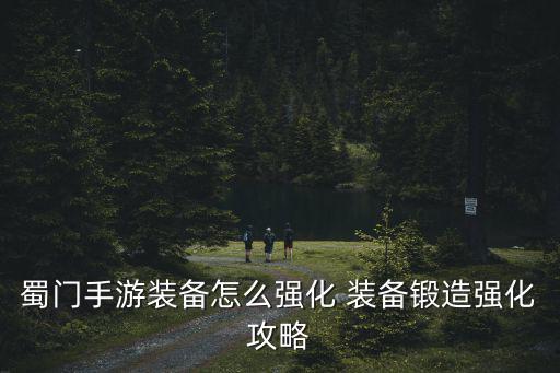 蜀门手游怎么打造宠物装备，游戏蜀门要怎么加装备啊求大神帮助