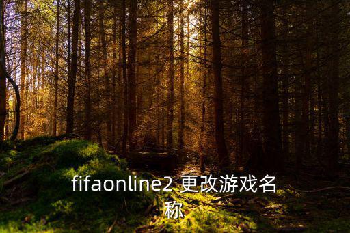 fifaonline2 更改游戏名称