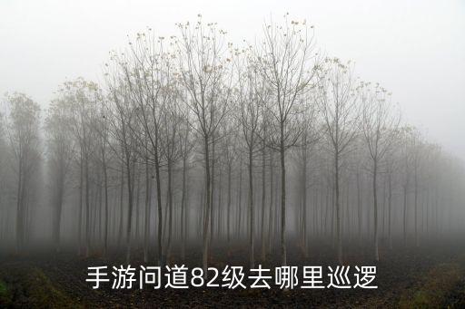 手游问道82级去哪里巡逻