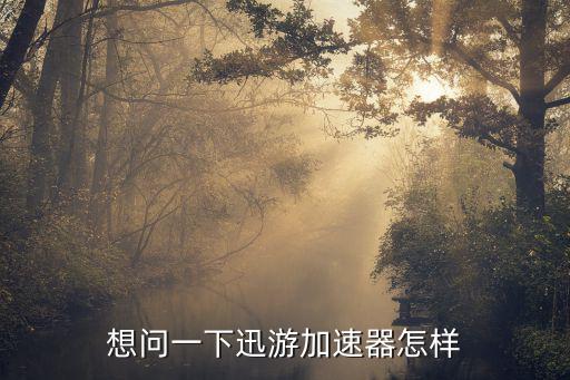 想问一下迅游加速器怎样