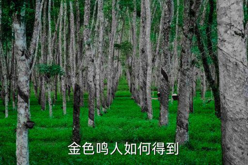 火影手游金色名人该怎么抽，金色鸣人如何得到