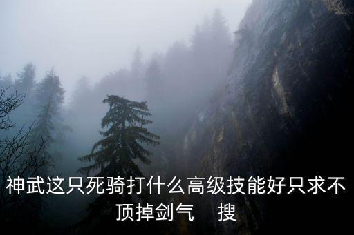 神武这只死骑打什么高级技能好只求不顶掉剑气    搜