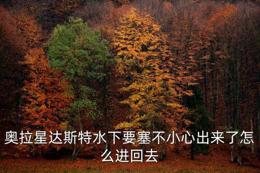 奥拉星达斯特水下要塞不小心出来了怎么进回去