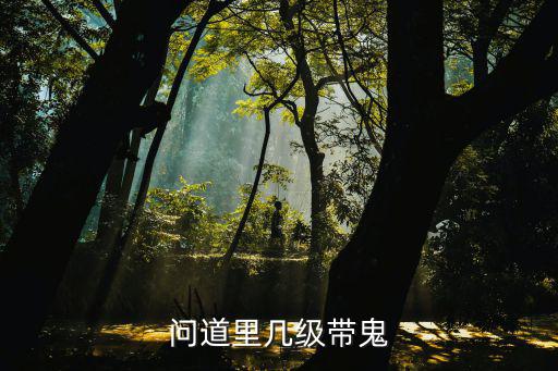 问道里几级带鬼