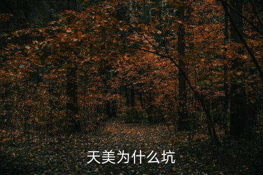 天美为什么坑