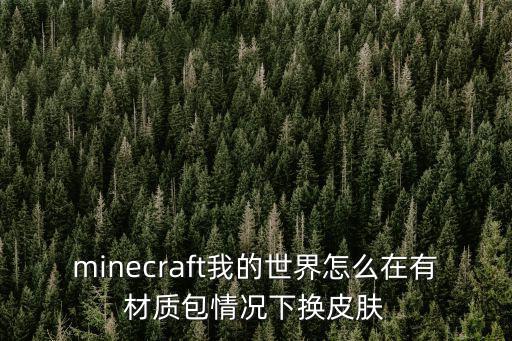 minecraft我的世界怎么在有材质包情况下换皮肤