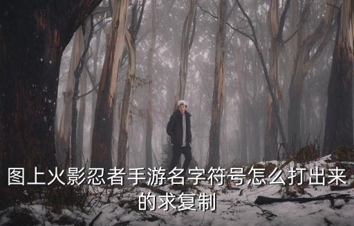图上火影忍者手游名字符号怎么打出来的求复制