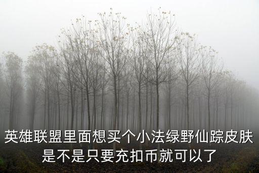 手游小法怒角皮肤怎么买，邪恶小法师皮肤穿着正装的恶魔多少钱