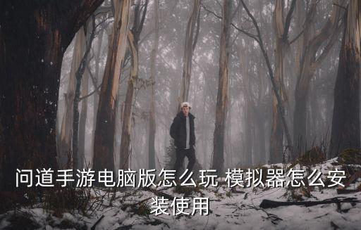 问道手游电脑版怎么玩 模拟器怎么安装使用