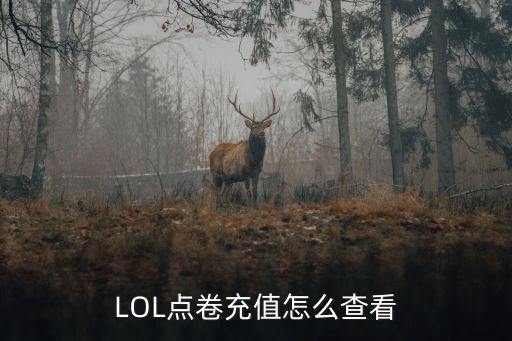 英雄联盟手游怎么看充值金额，怎么查充值余额