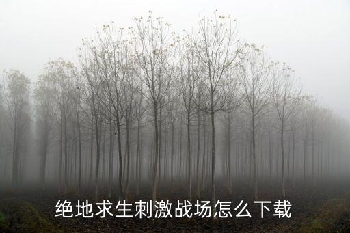 绝地求生刺激战场怎么下载