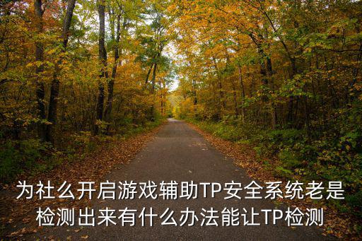 为社么开启游戏辅助TP安全系统老是检测出来有什么办法能让TP检测