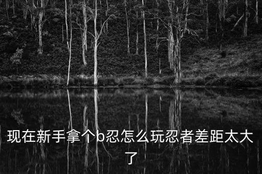 现在新手拿个b忍怎么玩忍者差距太大了