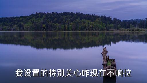 lol手游特别关注怎么没有提醒，为什么特别关心发动态没提醒 要怎么设置啊