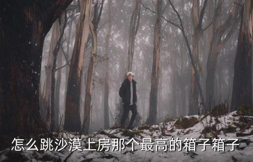 怎么跳沙漠上房那个最高的箱子箱子