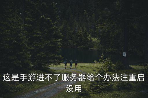 这是手游进不了服务器给个办法注重启没用