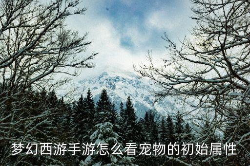 梦幻西游手游怎么看宠物的初始属性