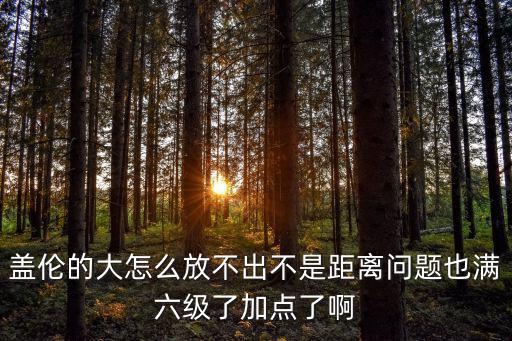 盖伦的大怎么放不出不是距离问题也满六级了加点了啊