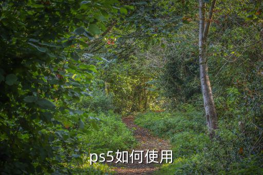 原神手游怎么ps5，W10系统怎么使用PS5