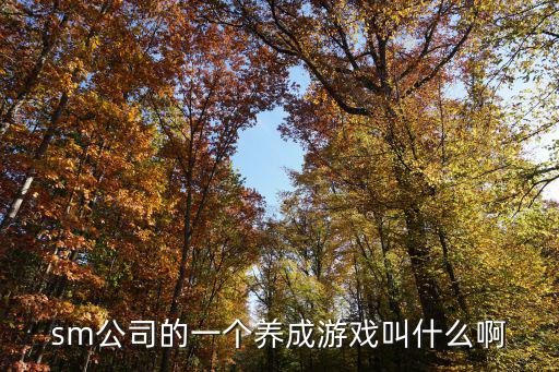 sm公司的一个养成游戏叫什么啊