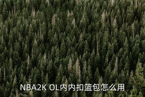NBA2K OL内内扣篮包怎么用
