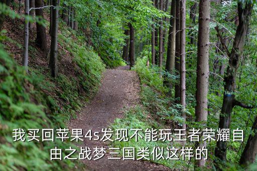 我买回苹果4s发现不能玩王者荣耀自由之战梦三国类似这样的